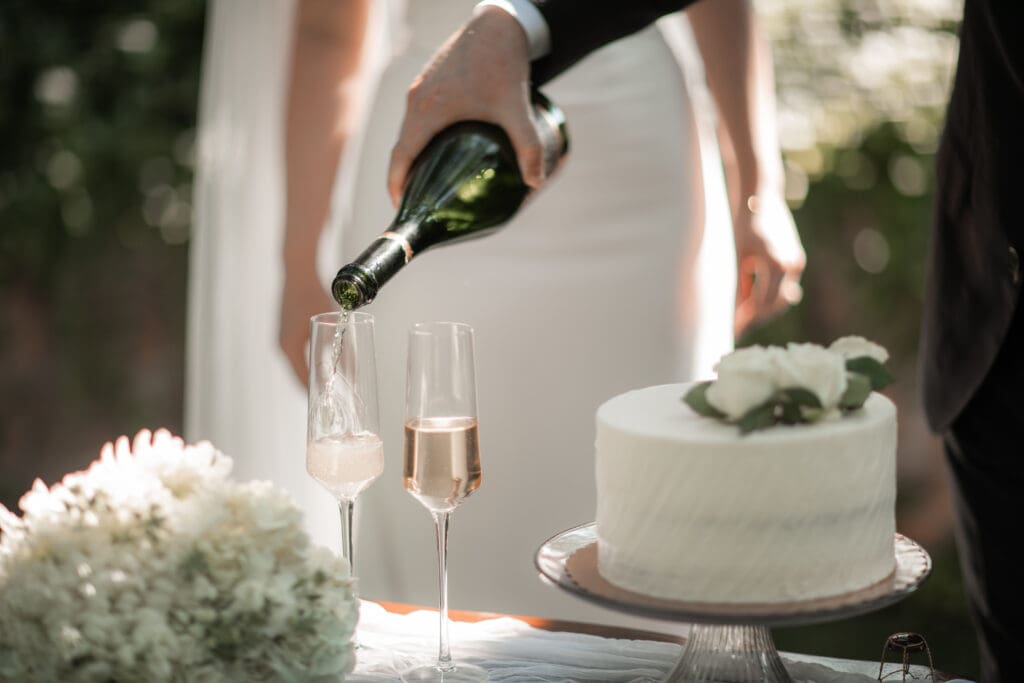 A&M Gardens elopement wedding photography
