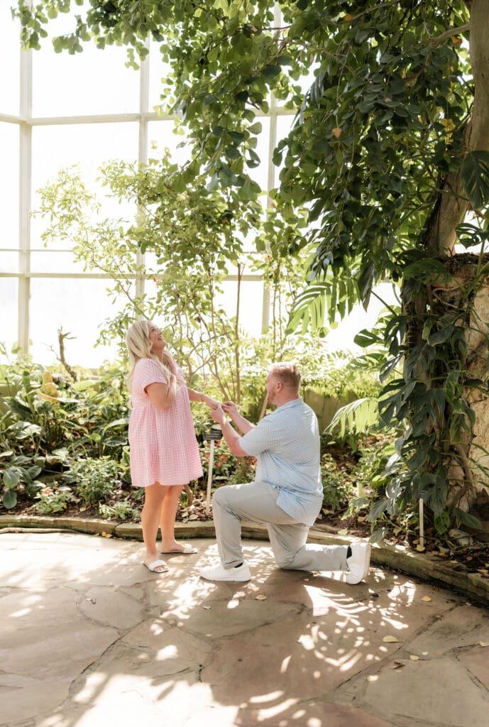 Man proposing to his girlfriend at the Fort Worth Botanic Gardens