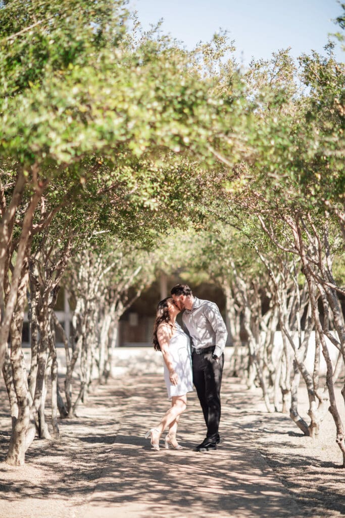 Engaged couple at Kimbell Art Museum, Fort Worth, embracing and kissing under the crape myrtles