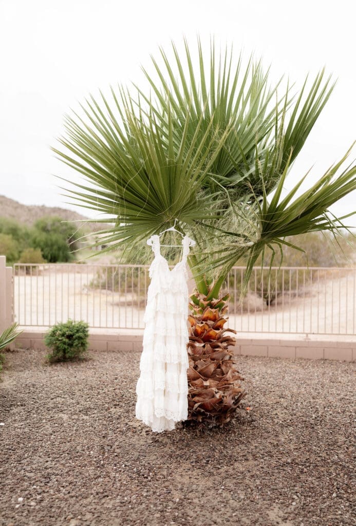 Bride's dress hanging from palm tree in Phoenix, Arizona
