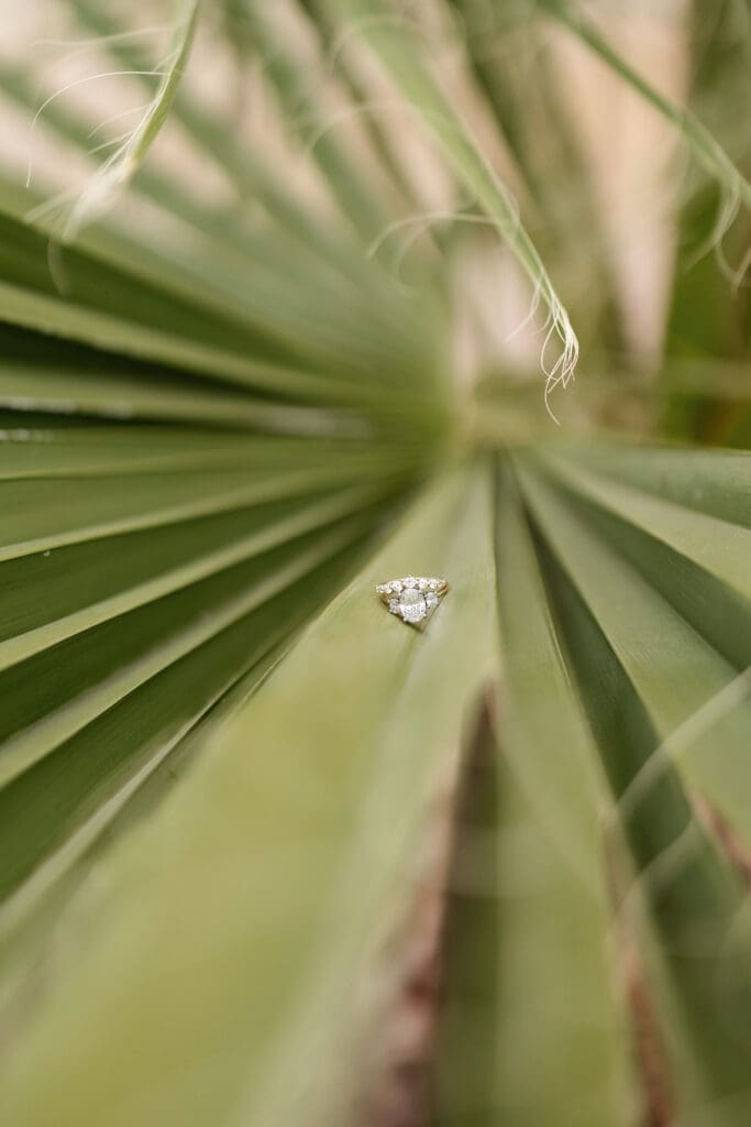 Wedding detail shots at the Airbnb during their Arizona destination wedding