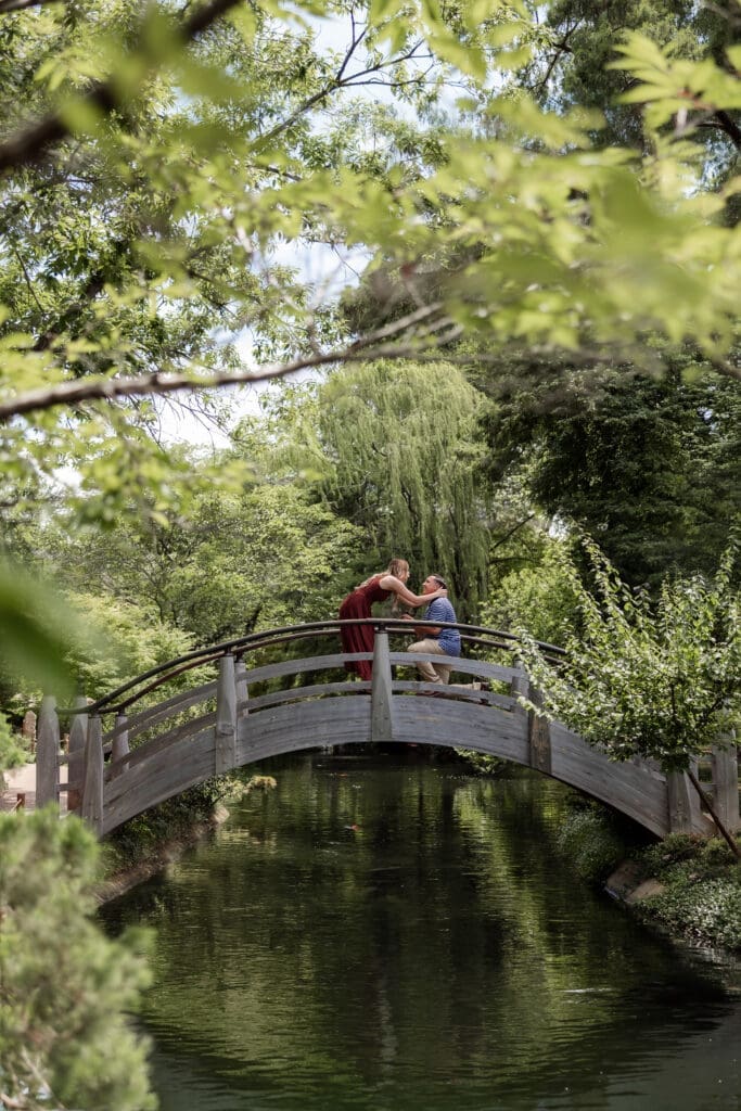 Many getting down on one knee to propose to his girlfriend on the arched bridge in the Japanese Gardens at the Fort Worth Botanic Garden in Fort Worth, TX
