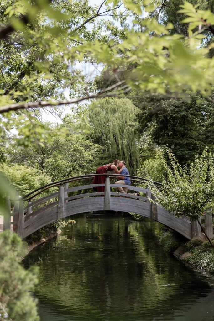 Many getting down on one knee to propose to his girlfriend on the arched bridge in the Japanese Gardens at the Fort Worth Botanic Garden in Fort Worth, TX