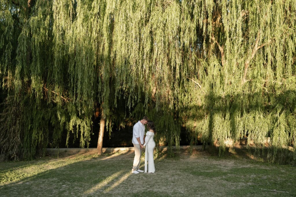 Couple posing in front of the willow tree during their golden hour Airfield Falls Maternity session