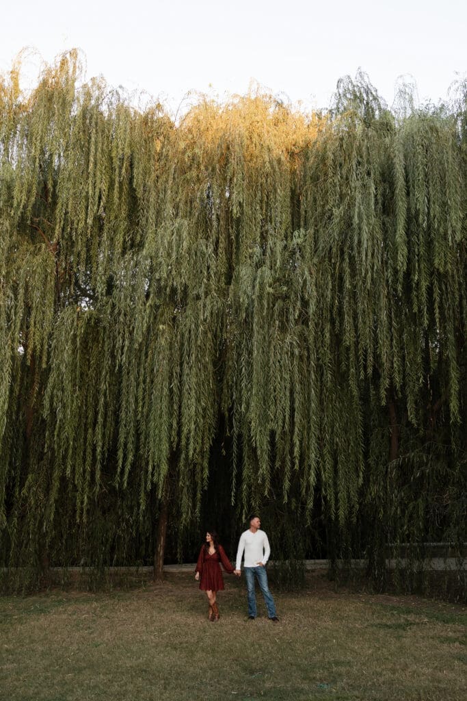 Moody portrait of an engaged couple in front of the willow tree at Airfield Falls in Fort Worth